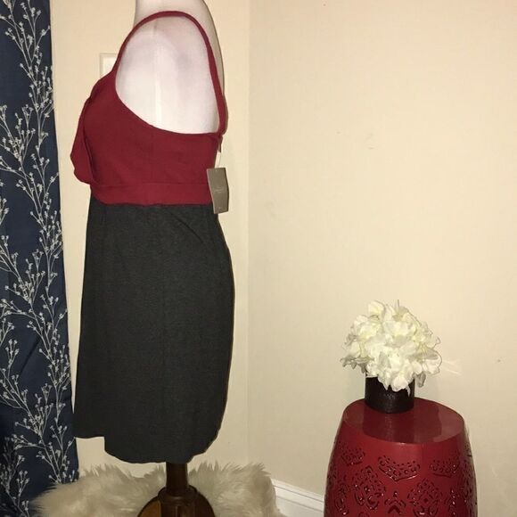 NEW Anthro | Ella Moss Colorblock Tank Dress - Picture 2 of 6